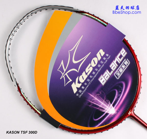 KASON TSF 300D P