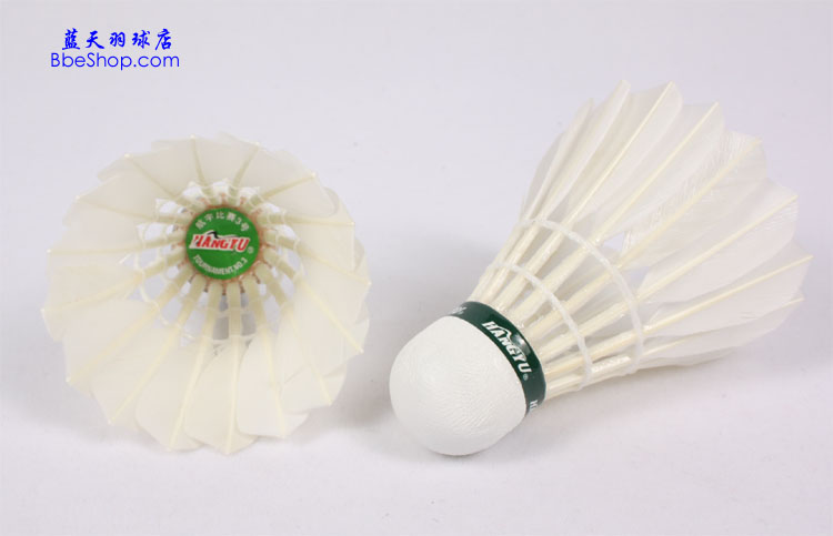 shuttle_hangyu_t3_02.jpg (45197 ֹ)