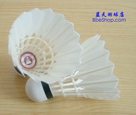 LONGYUB-1ë