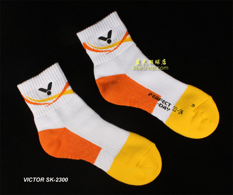 \(yn)(dng)m SK2300 VICTORm